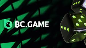 Experience the Thrill of Online Gaming at BC GAME Casino