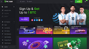 Understanding How BC.Game Casino Operates